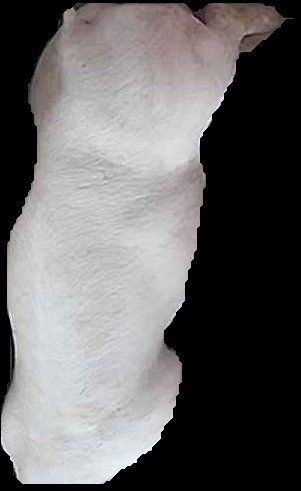 Crop