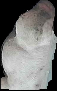 Crop