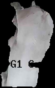 Crop