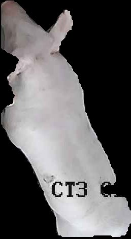 Crop