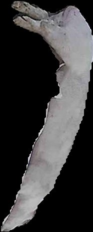 Crop