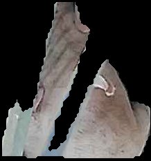 Crop