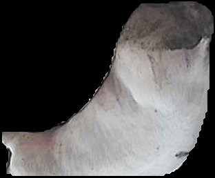 Crop