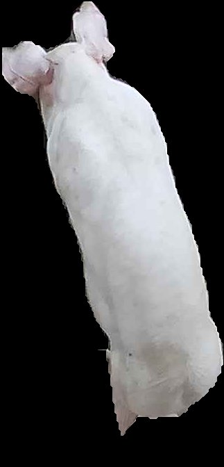 Crop