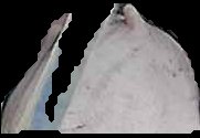 Crop