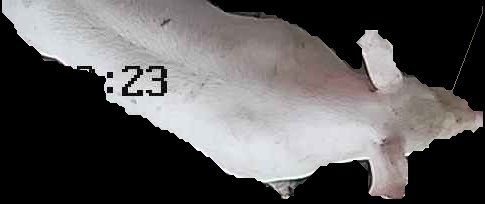 Crop