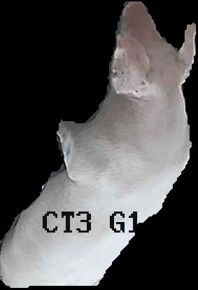 Crop