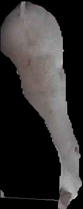 Crop