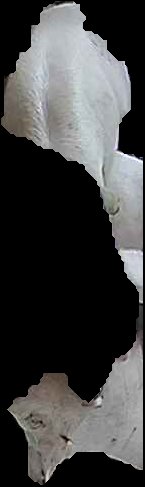 Crop
