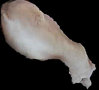 Crop