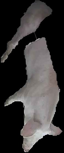 Crop