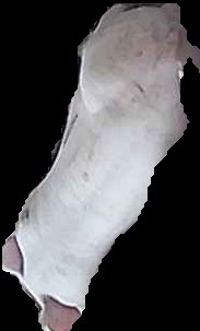 Crop