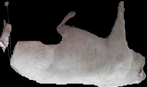 Crop