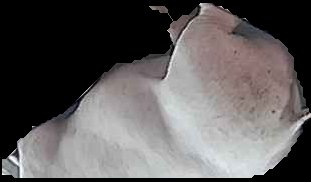 Crop