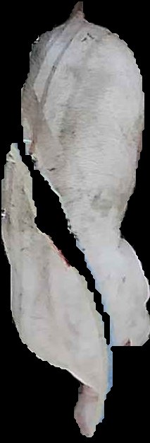 Crop