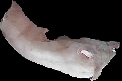 Crop