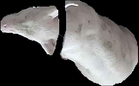 Crop