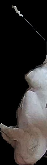 Crop