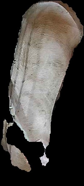 Crop