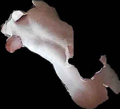 Crop