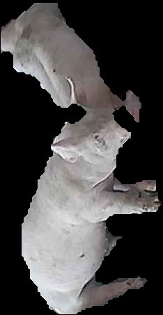 Crop