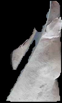 Crop