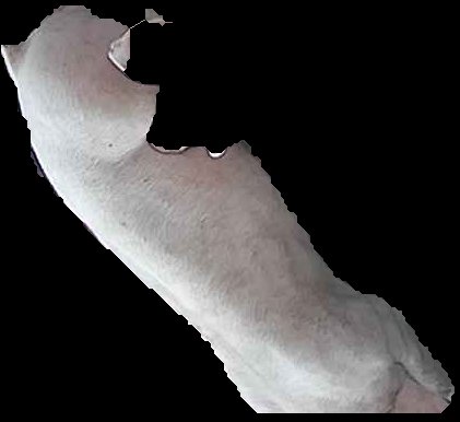 Crop