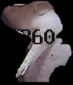 Crop