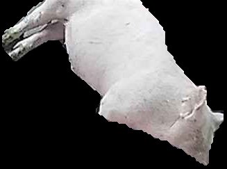 Crop