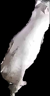Crop