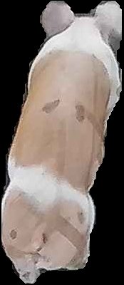Crop