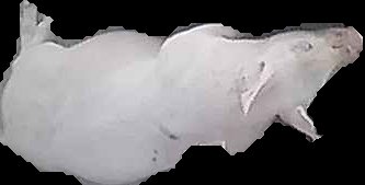 Crop