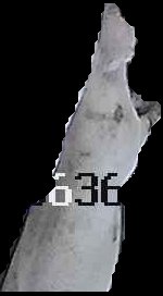Crop
