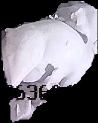 Crop