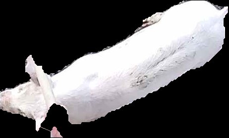 Crop