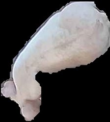 Crop
