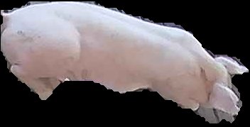 Crop