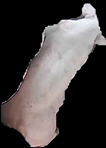 Crop