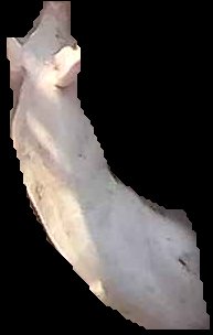 Crop