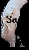 Crop
