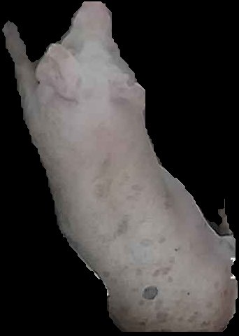 Crop