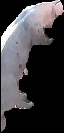 Crop