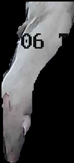 Crop