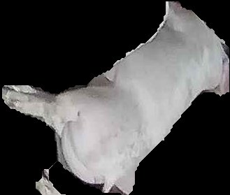 Crop