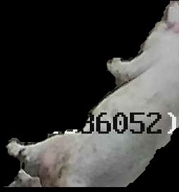Crop