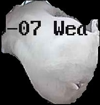 Crop
