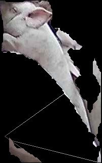 Crop