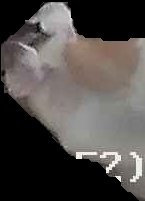 Crop