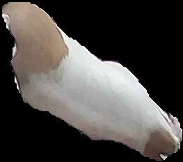 Crop