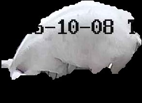 Crop